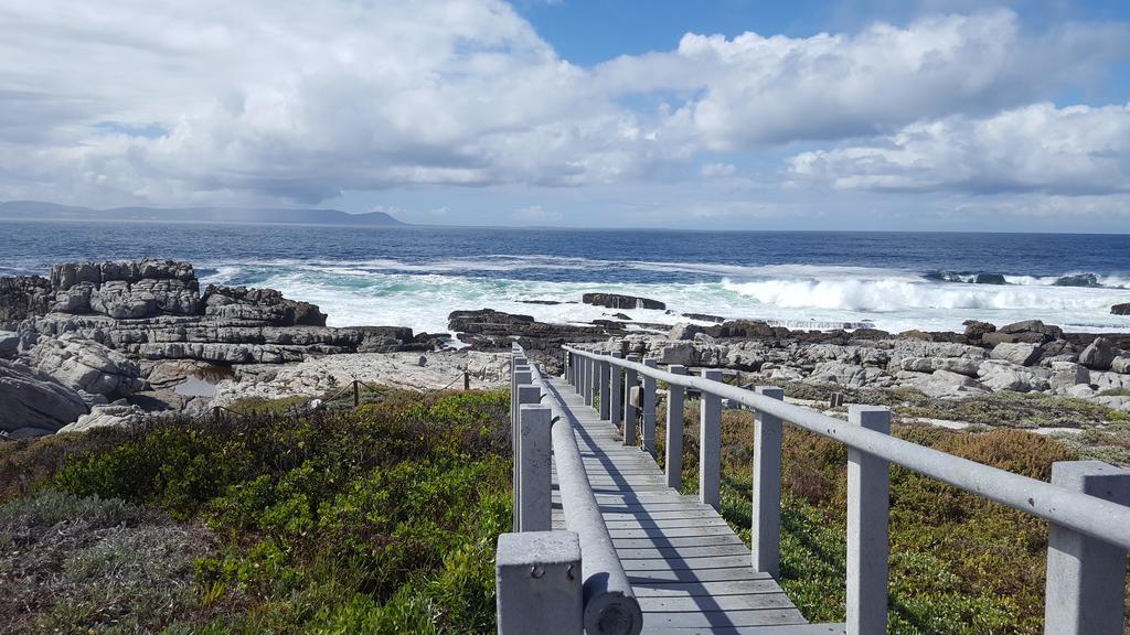 Whale View Self Catering Apartment Hermanus Bagian luar foto