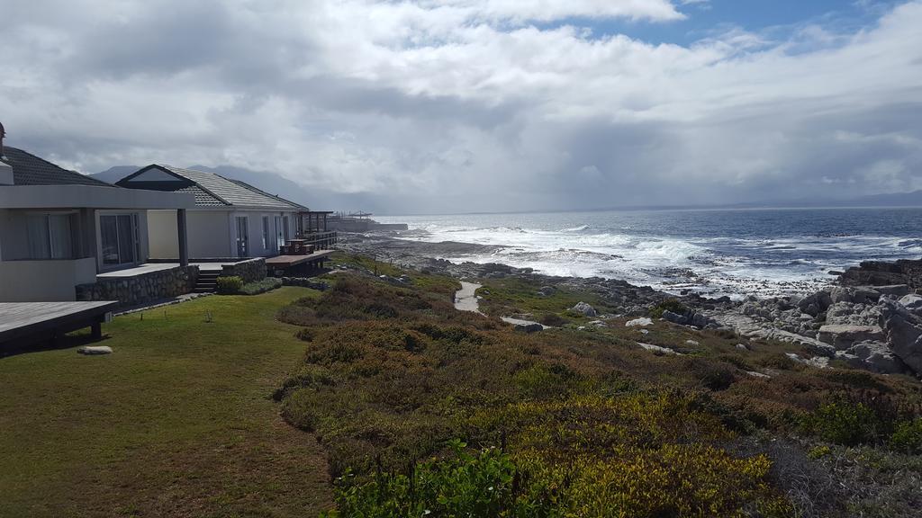 Whale View Self Catering Apartment Hermanus Bagian luar foto